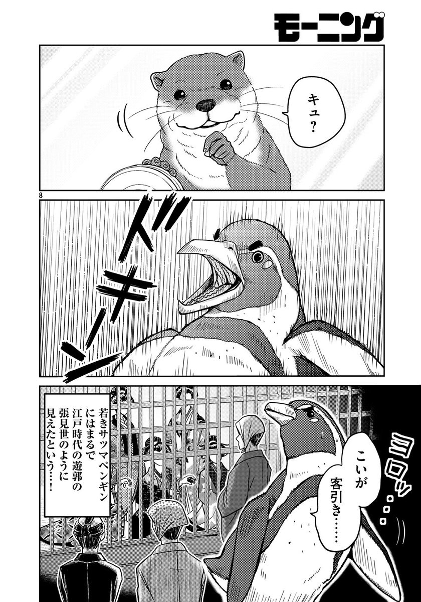 後編続き2??
#世界ペンギンデー #ペンギンの日 #WorldPenguinDay