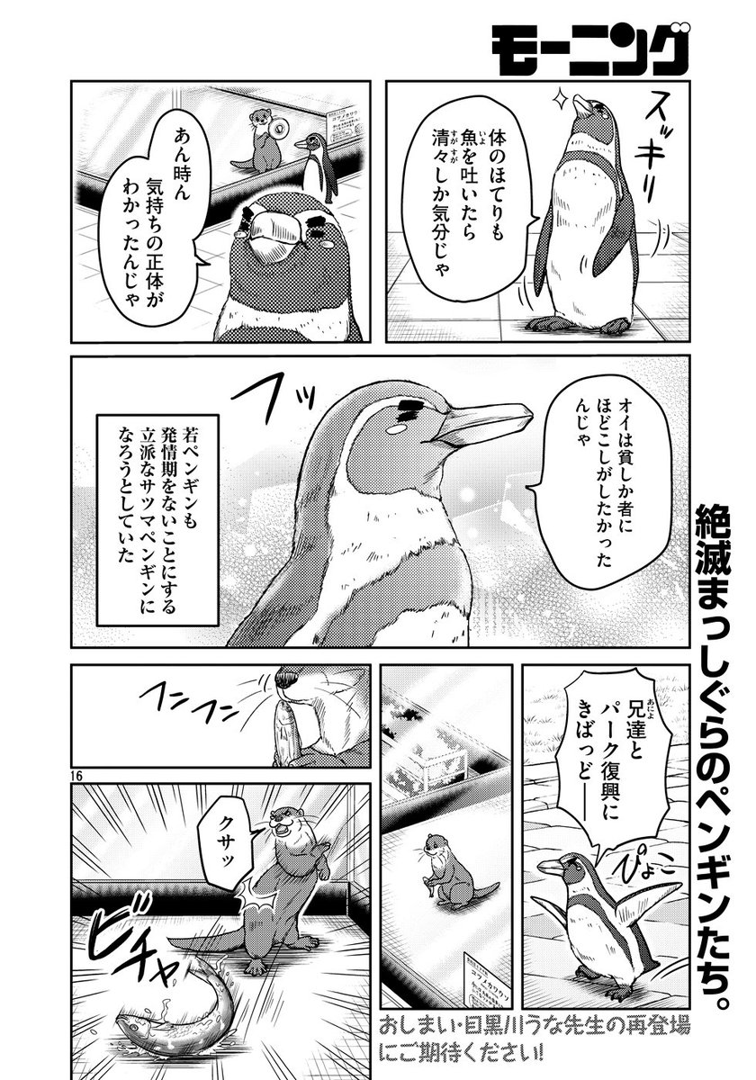 後編続き4????
#世界ペンギンデー #ペンギンの日 #WorldPenguinDay 