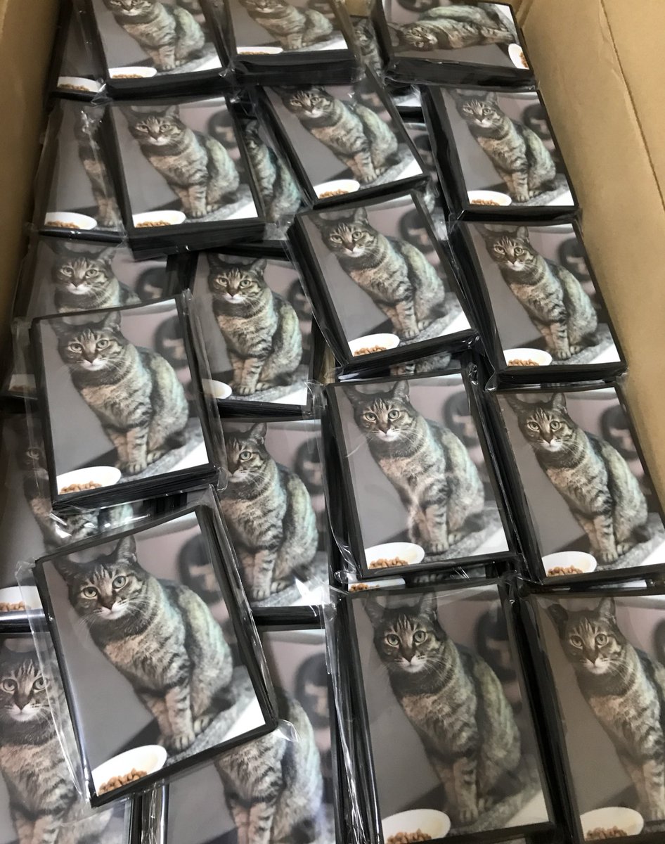 混沌の女神様 次回エア春コミケ 猫スリーブも完成だニャー