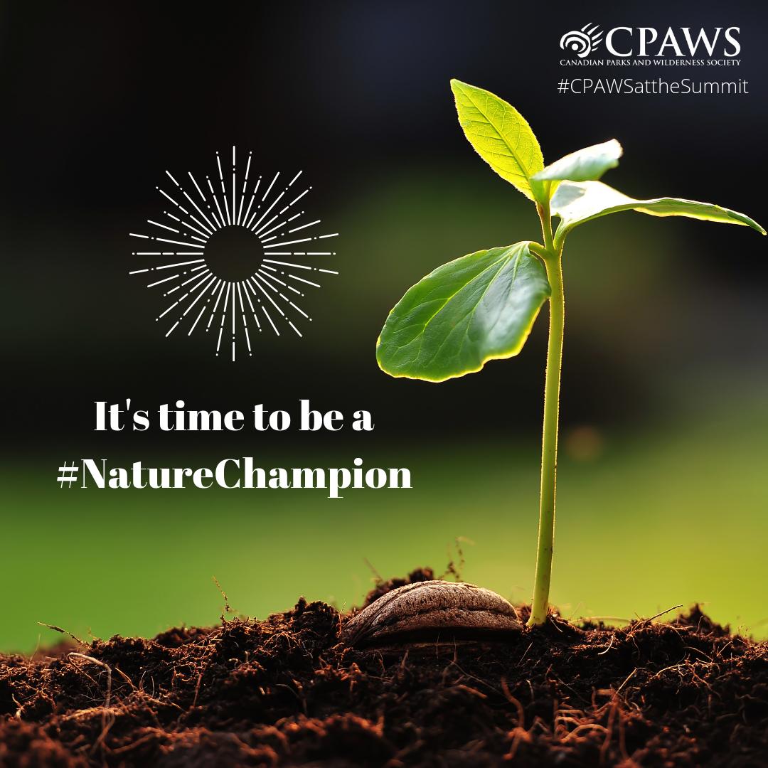 CPAWSbc's tweet photo. New #blog from @AlisonRonson
of @cpaws about day 1 at the #NatureSummit which will “ramp up global action to protect nature”

https://t.co/KsmX9YeT9W

#AllInForNature https://t.co/BoBLiARt19