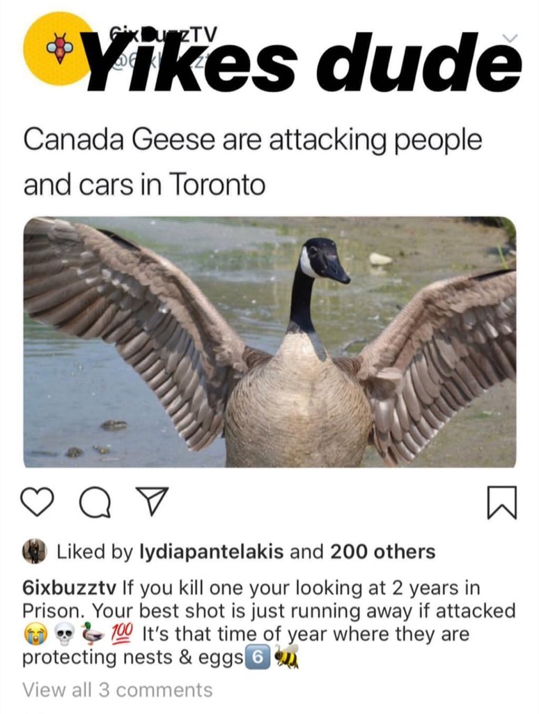 stephaniezai's tweet image. #NewsAlert #summerproblem