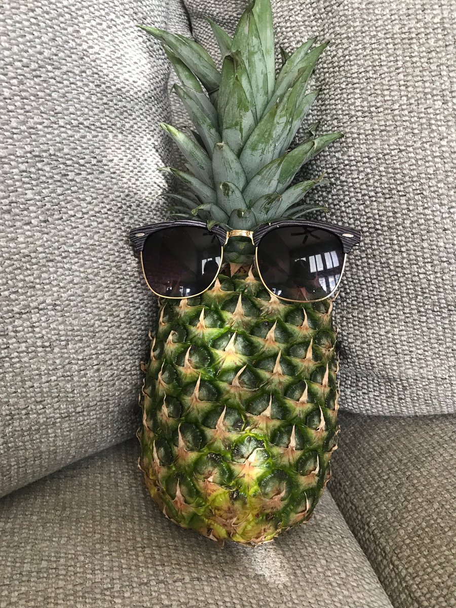 don’t worry boys... Wilburr is gonna hang with us for a little longer. hope you enjoyed your snack!! #oneplant