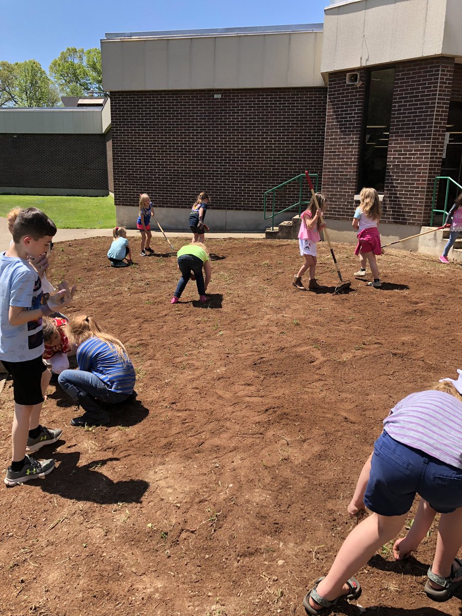 FarrarFirst's tweet photo. Look at them GROW! So much fun collaborating with Kindergateners to make a school garden! #farrarfrogs #TCSPublic @edens_debbie  @rlferguson76 @AmberGluch @courtneynholt1 @kimwondersY https://t.co/4WntWopPkY