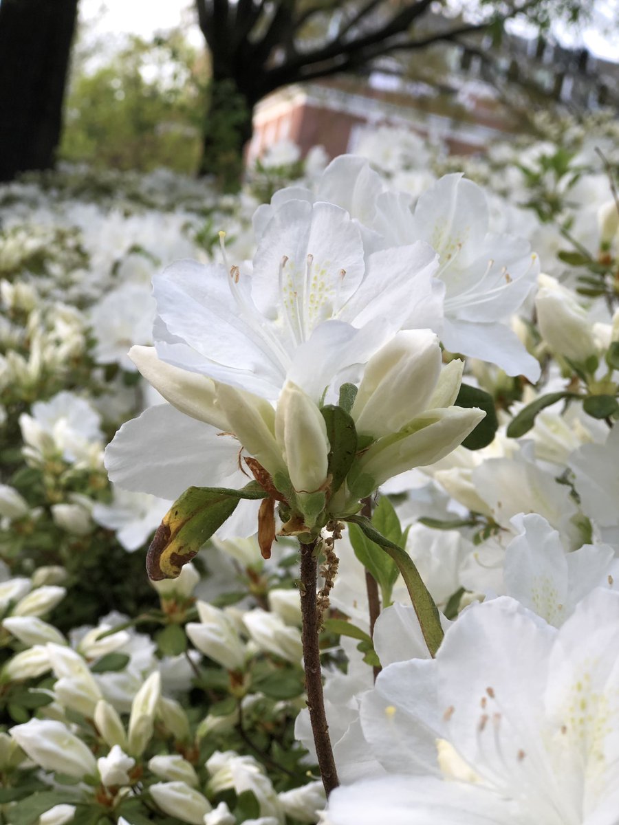 Jarron Jackson tweet media