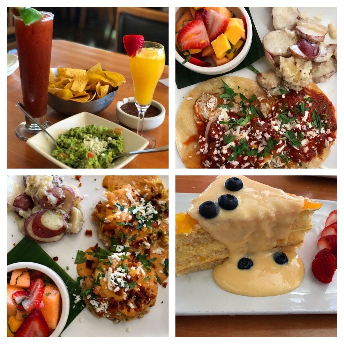 MeaganWristen's tweet image. a5: Addison, Texas was a huge surprise. I had no idea what a foodie scene is there.  More than 180 restaurants! This is a picture of my brunch at @CantinaAddison #VisitAddison #foodtravelchat