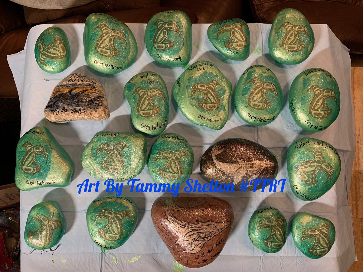 ForOrcas's tweet image. Starting on some new rocks for Langley Whale Center and Orca Network #Protectwhatyoulove #Emptythetanks #Wildandfree #BeWhaleWise #TTRT #PaintedRocksForOrcas