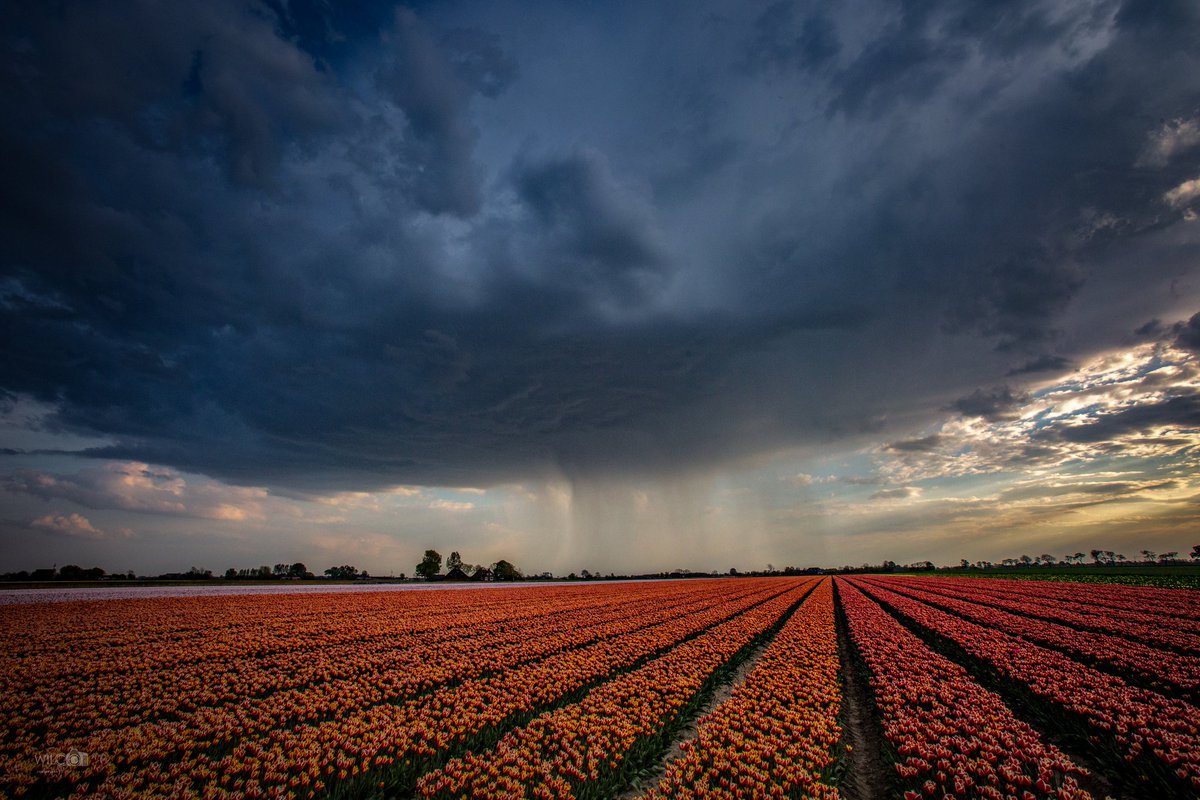 Wilco vdl fotografie tweet media
