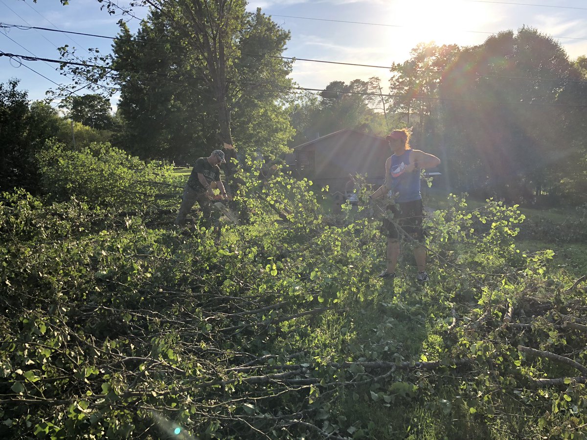 Liv_4_MMA's tweet image. I’ll miss the shade from this one, but I’ll be glad to take the chance for an extra workout! #WeightCut #TreeProbs #Phoenix #PhoenixInTheYard #VFC59 #JoysOfHomeownership 🌳