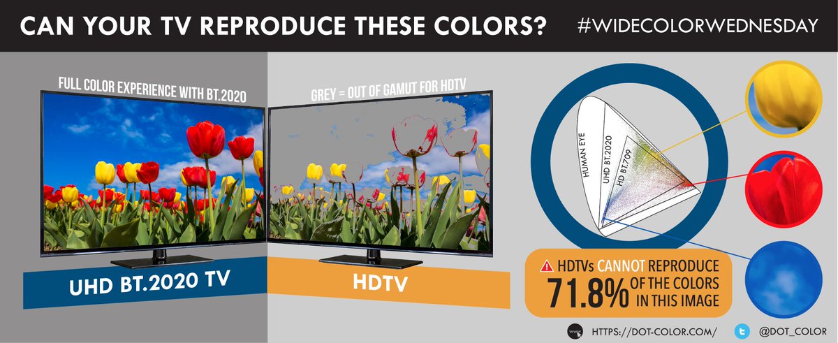 This #WideColorWednesday we look at tulips as they begin to bloom: