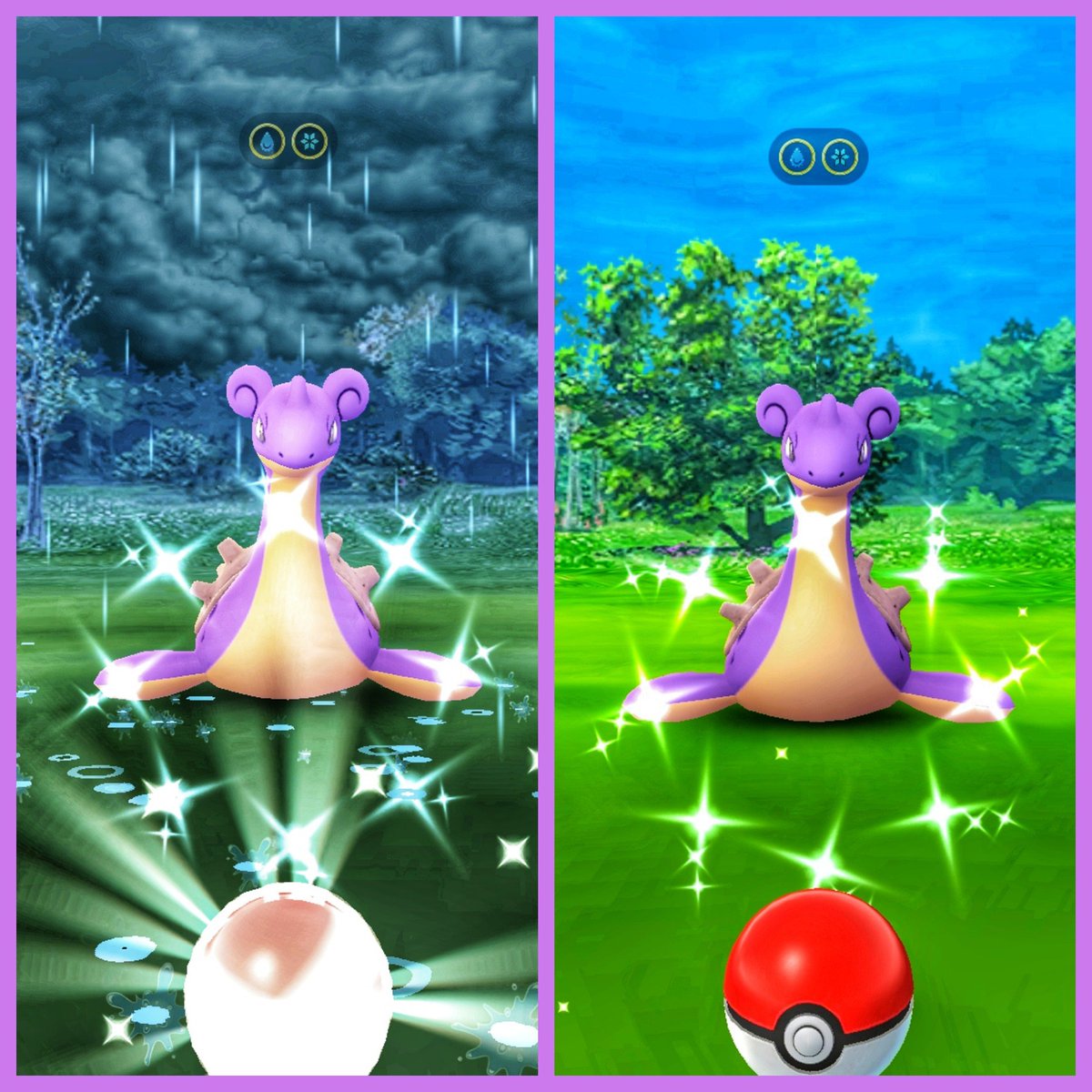 ラプラス色違い