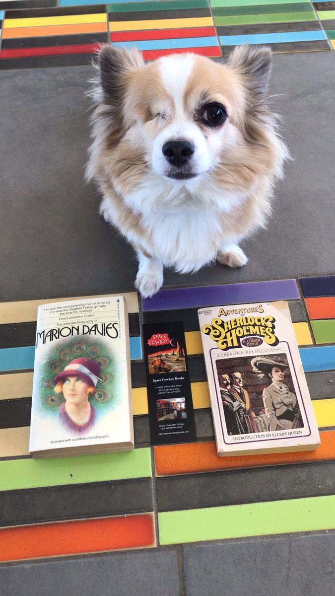 Fitz posing with my books Marion Davis and Sherlock Holmes as though he picked them out himself