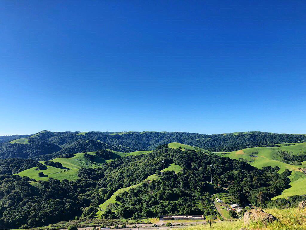 SipraRoy's tweet photo. This morning’s hike. Hit me up if you are looking for remote, lifestyle friendly work! We are looking for consultants with experience in #SEM #SEO #Facebookads #AmazonAds and more! #remotework #livingmystory #apiarydigital https://t.co/dDhWwN202A