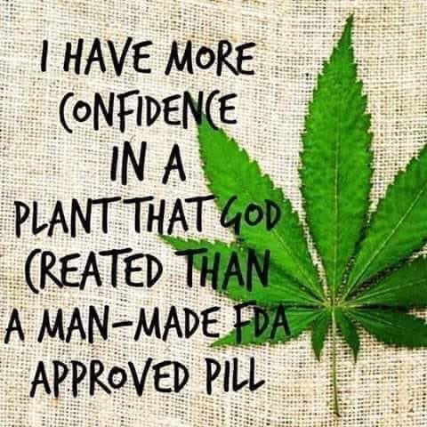 lexiLeighaHart's tweet photo. I may offend people with this, I may make some friends.. do I care!? NOPE 😆 #cbd #cbdoil #hempheals #hempworx #cbdforthewin #godmadeit #pillskill #cbdlexii #freetheplant https://t.co/zDVLxRTFyy