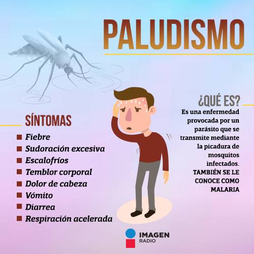🤒 En el #DíaMundialDelPaludismo aprende a reconocer las señales de alerta de esta enfermedad 🤕