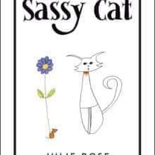 HealingGround11's tweet photo. Check out the latest in the Sassy Cat cartoon series! You will howl with laughter! Pick up your copy here 
Sassy Cat https://t.co/89CfcrjIti 
#sassycat #crazypaws https://t.co/cTPcGwFfqr