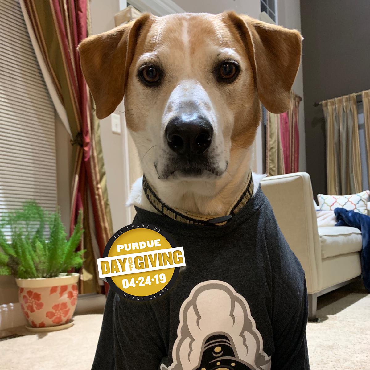 Purdue AIChE tweet media