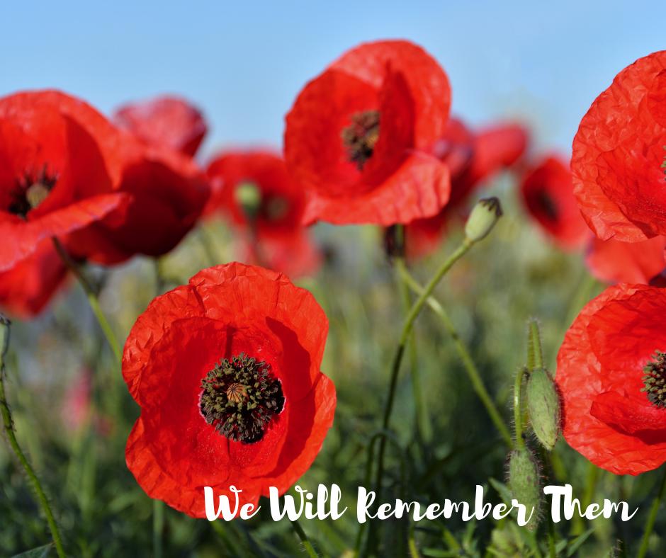 CDMPLUS_'s tweet photo. "So in that minuteโs silence,
Remember those that fell,
Fighting for the freedom,
The freedom for us all.โ
โ Anthony T. Hincks
#ANZACDAY #wewillrememberthem #nurses #primaryhealthcare #cdmplus https://t.co/5t4uSgD4fT
