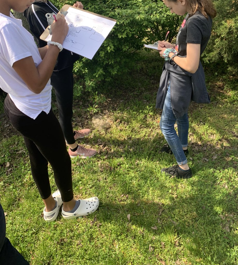 Kate_Chall's tweet photo. Fast plants, plant survey...‘‘tis the season for learning about plants in Life Science at TMS! #challscience #scienceisfun #PlantsSeeds #PlantScienceFascinatesMe https://t.co/0wuc2NMcbt