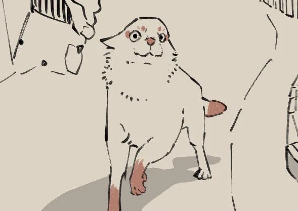 もしかして...........迷子では.........?  な稲荷の使い 