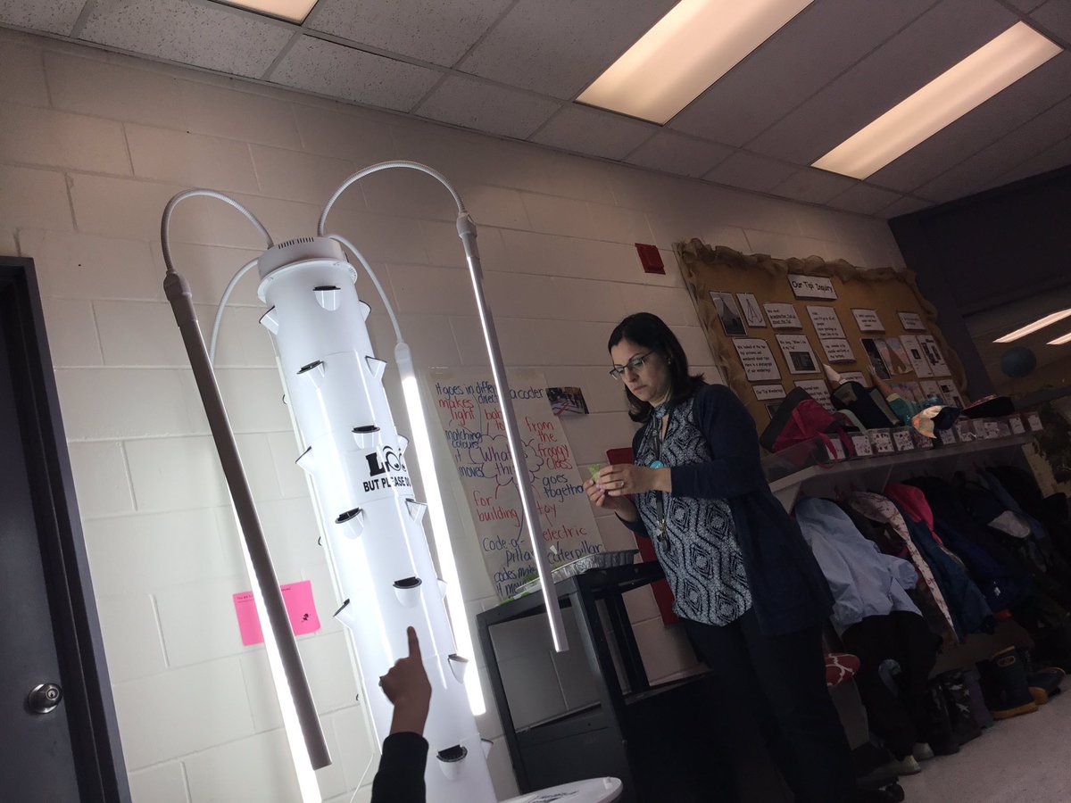 MrsMendoncaOCSB's tweet photo. Our plants finally grew tall enough to put into the grow tower! Perfect timing for Earth week. The Froggies were so intersted to see how the pump delivered water to the plants...it makes such a soothing sound! #EarthWeek2019 #growtower https://t.co/as7s9I6Z2m