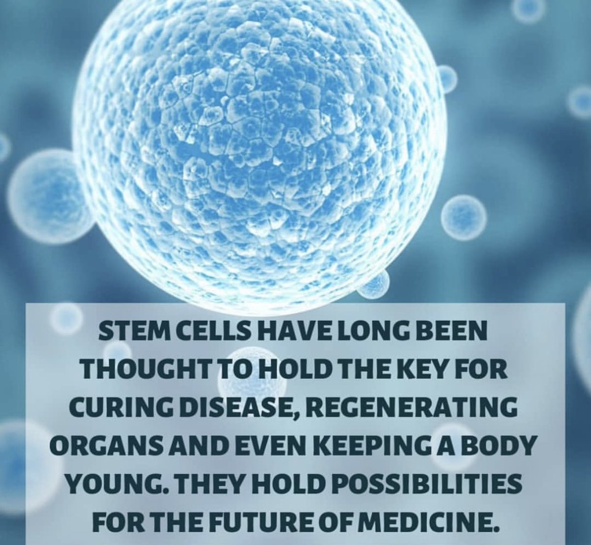 #StemCells hold many 🔑🔑🔑s #CaverStem #StemCell