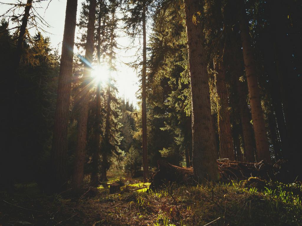 Meditation – Now It’s Personal letmetrythisagain.wordpress.com/2019/04/25/med…