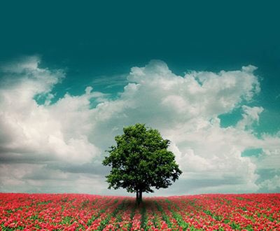 فعاليات الجامعة tweet media