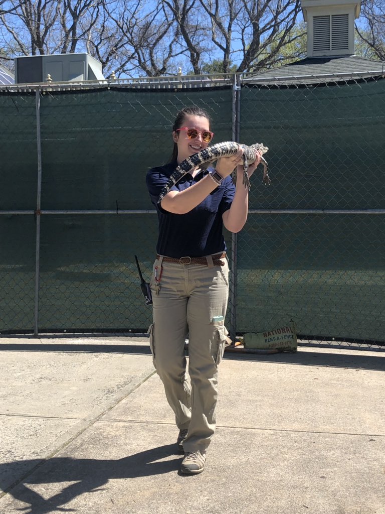 Ashley Rodrigues tweet media