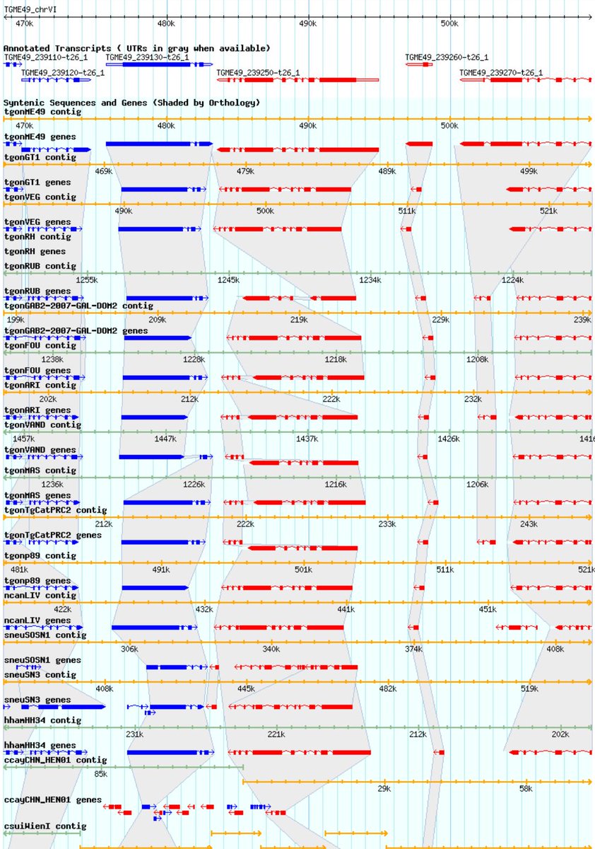 veupathdb's tweet image. Attending #ToxoVX? Don’t forget to register for the permeating #ToxoDB workshop - instructors @dsro5os @LouridoLab @saeijlab @KataAlvarez @omartheharb Register by April 28 workshop.eupathdb.org/Toxo19/applica…