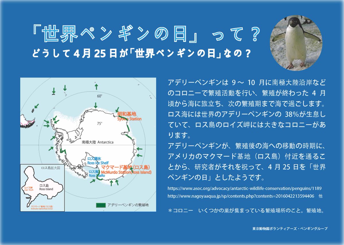 上野動物園 公式 上野動物園にいるのはアデリーペンギンではなく 南アフリカに生息するケープペンギン 人間の 影響により この100年間で個体数が1 程度にまで減少してしまいました World Penguin Day 世界ペンギンの日 上野動物園 公式 上野動物園にいるのはアデリーペンギンではなく 南アフリカに生息するケープペンギン 人間の 影響により この100年間で個体数が1 程度にまで減少してしまいました World Penguin Day 世界ペンギンの日