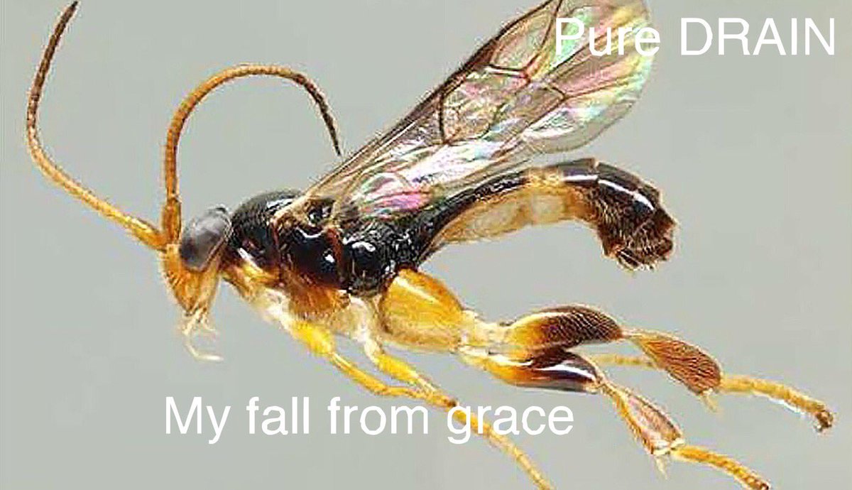 BladeeCity's tweet image. Perfect balance