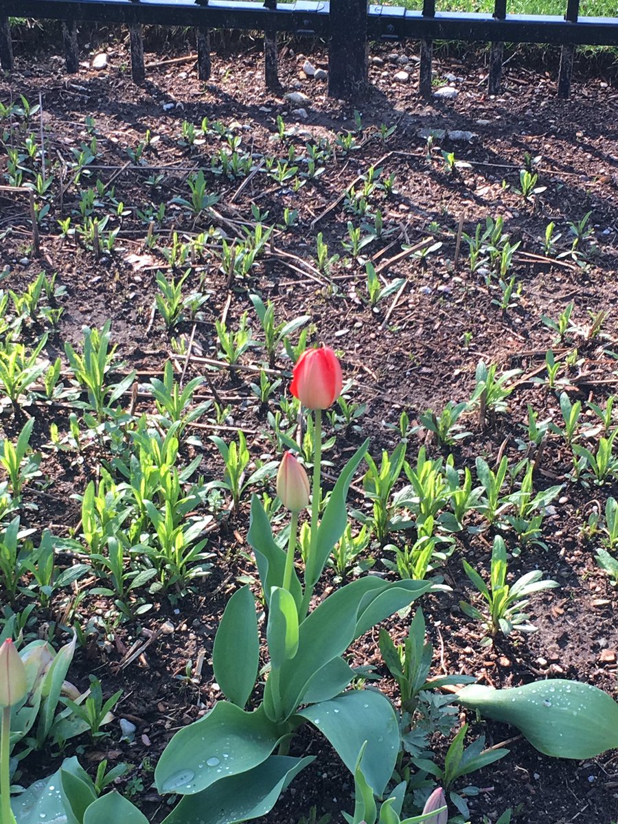 mmccarth_aye's tweet photo. #StonehillBiodiversity https://t.co/PMy81mRdXY