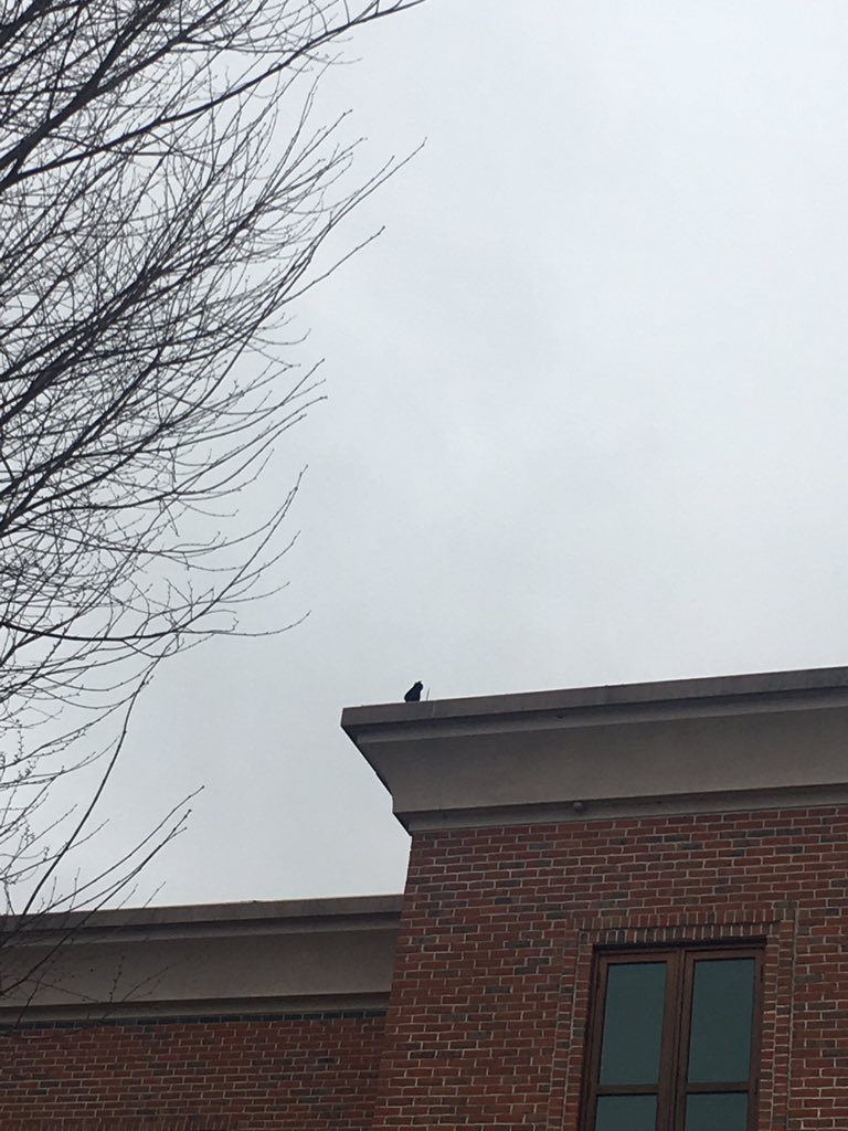 mmccarth_aye's tweet photo. #StonehillBiodiversity https://t.co/Su0Rc1VO0T