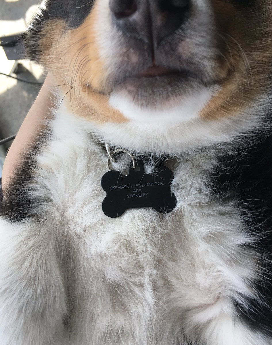 WilliamManiatis's tweet photo. @THESLUMPGOD  I named my puppy after you https://t.co/2jPmHLuLK9