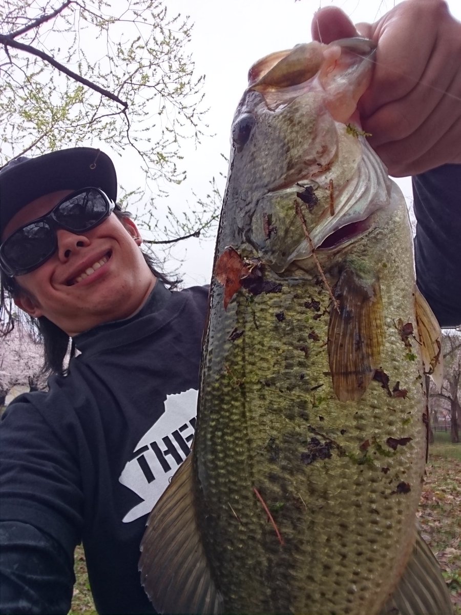 hashitaka243's tweet photo. めっちゃギリギリ掛かっててめっちゃギリギリ40up！有言実行！！
#レジットデザイン
#ワイルドサイド
#61L
#ブレディ https://t.co/2HfHm5pY6F