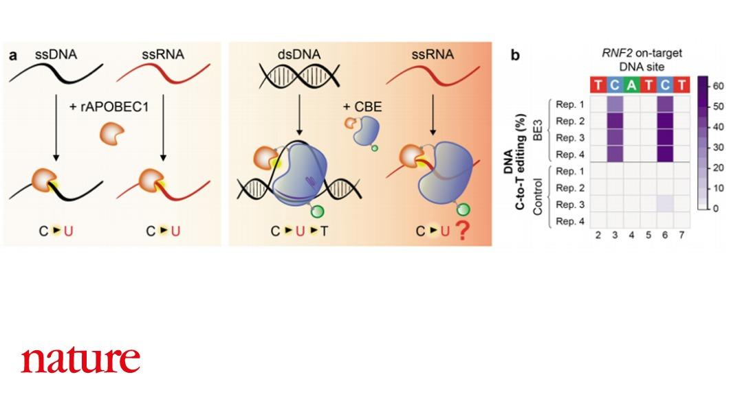 Nature Portfolio tweet media