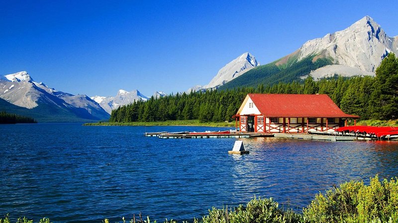 Vinalinks1's tweet image. Đất nước Canada mang lại cho bạn những lợi ích gì

Canada được biết đến như một đất nước có nền kinh tế giàu mạnh... Canada có những chương trình thu hút dân nhập cư trên khắp thế giới để...

Xem thêm: vinalinks.vn/dat-nuoc-canad…

Hotline: 0962 188 448