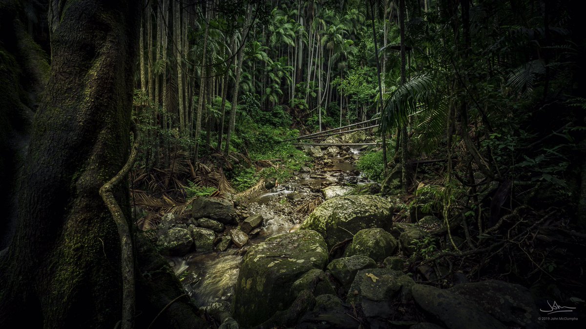 Tambourine Mountain earlier this week

#landscape #australia #rainforest #nature #wideangle #samyang14mm #canon5d .
<a href="/CanonAustralia/">Canon Australia</a>