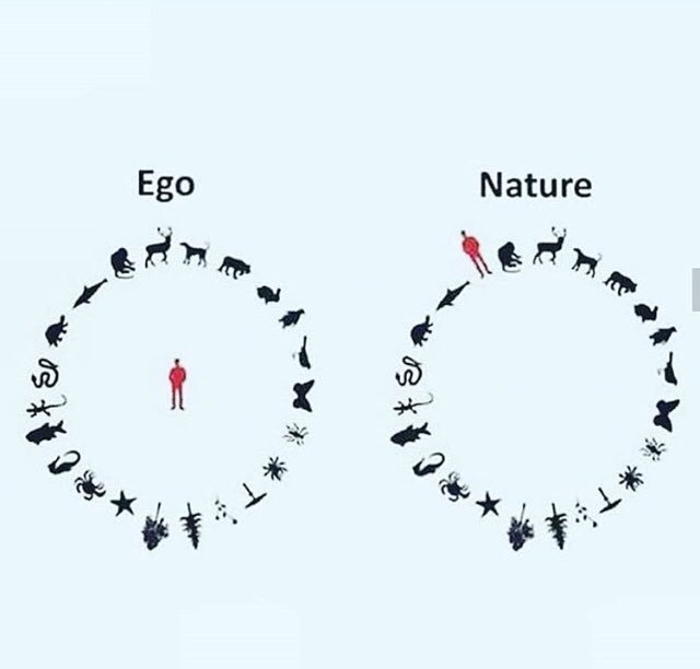 Tweeting all week on #EarthWeek2019 #EarthWeek dedicated to Planet Earth 🌏 All my energy strength and integrity devoted to this; the loveliest planet in the loneliness universe #Earth over #Ego
