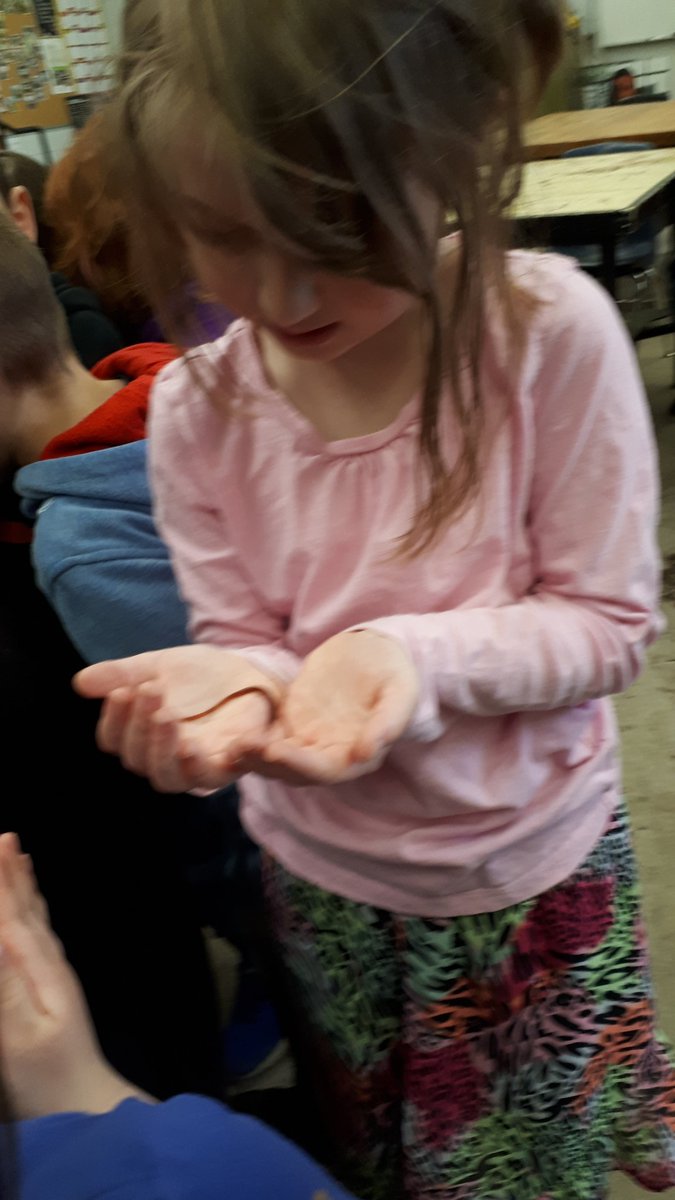 kimberlysimmond's tweet photo. Great fun picking worms at Collegiate High School's Horticultural Department! @htubman2015 https://t.co/KNzuhnzZ8J