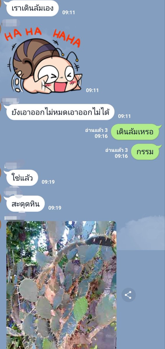 Xodium tweet media