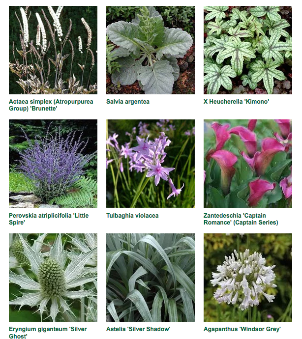 On the Edge #Garden with #plant list #RHSHampton 2017 by Frederic Whyte and <a href="/Bentonbros/">The Benton Brothers</a> promoted awareness and understanding of #mentalhealth with <a href="/CentreforMH/">Centre for Mental Health</a> shootgardening.co.uk/article/on-the… #garden #plants