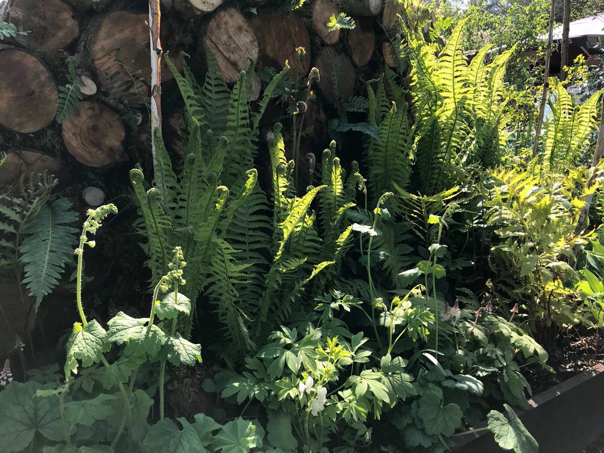 ____NME____'s tweet image. #GarddLles is the most beautiful garden. I love everything about it  #RHSCardiffVote