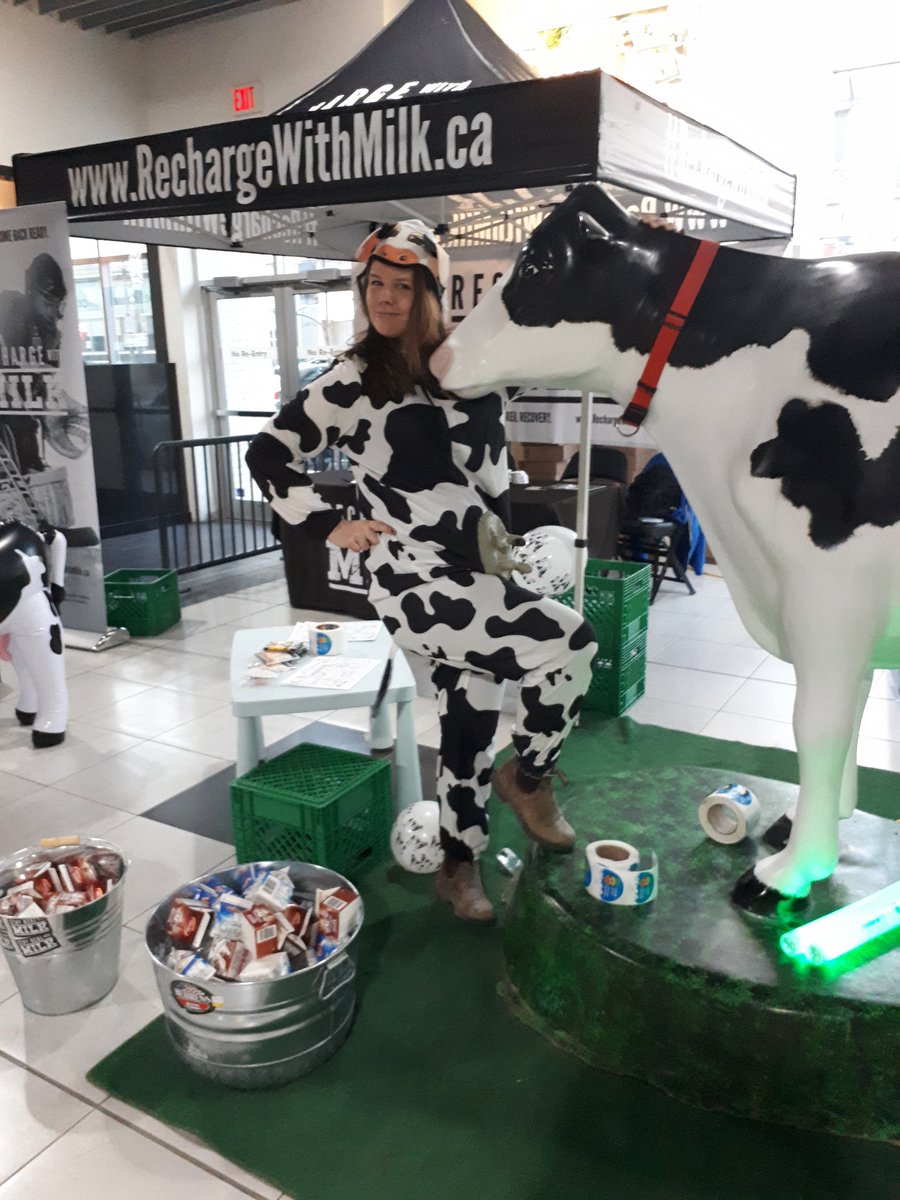 Rockin' the cow suit. Way to go Steph.