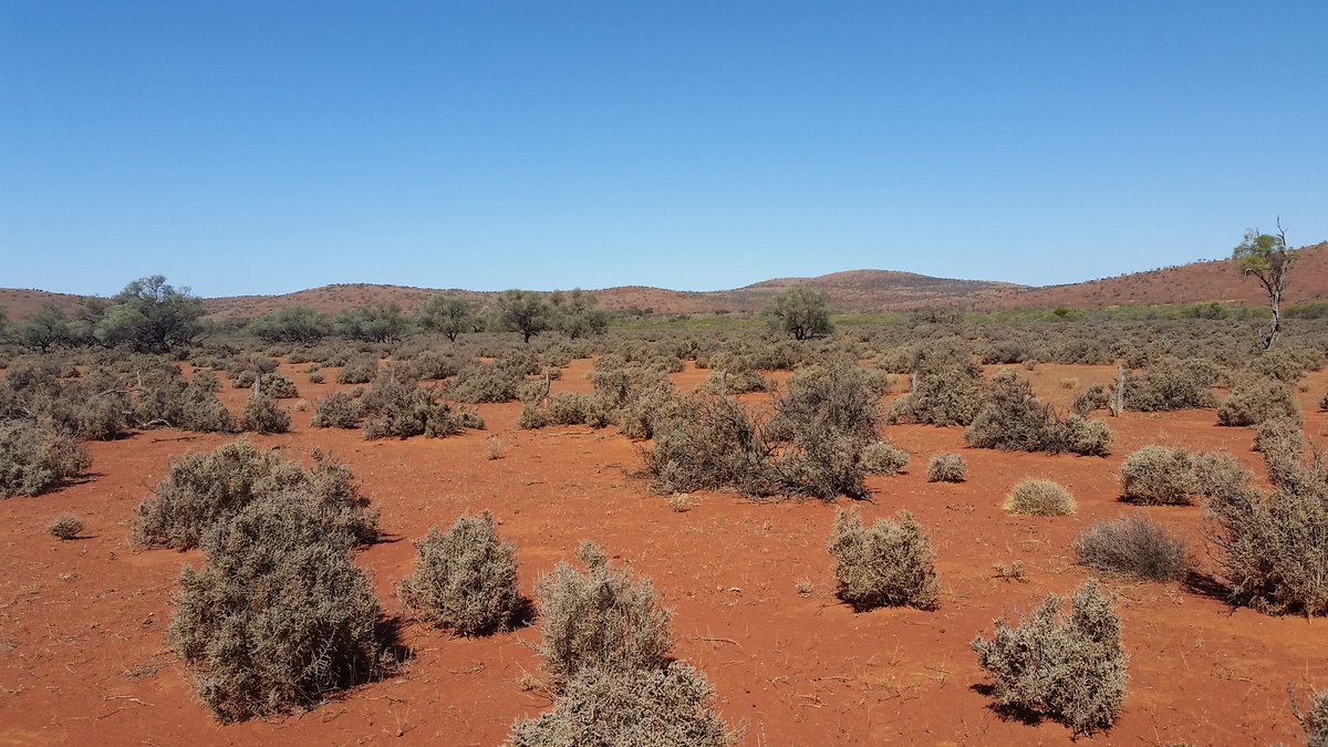 Jolly_g's tweet photo. Great week in the #GawlerRanges South Australia looking at 1.5Ga volcanic rocks (and wombats) with a great group of scientists @CWade_geo @ajr_geo Justin Payne and our two great honours students Chris and Jesse. First trip to the outback! 👍#red @UniofAdelaide @UniversitySA https://t.co/ficEUoFDeD