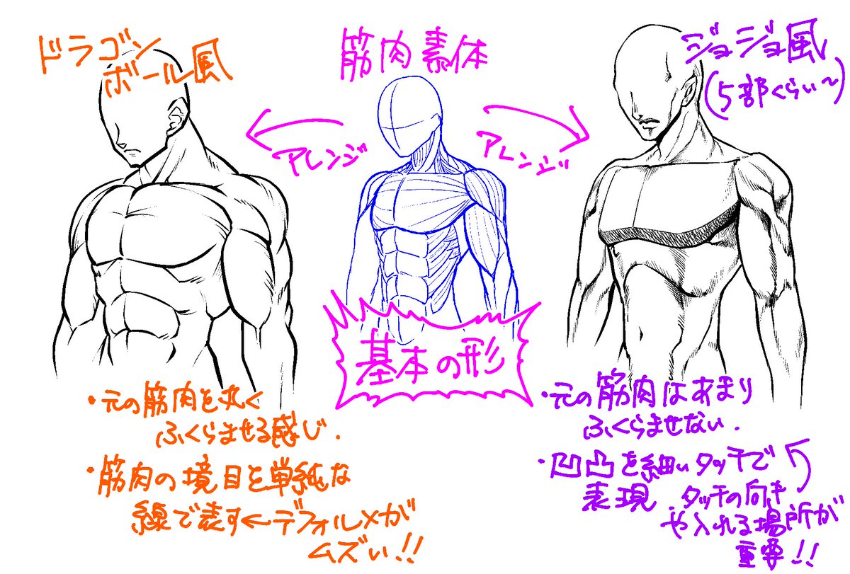 筋肉の描き方