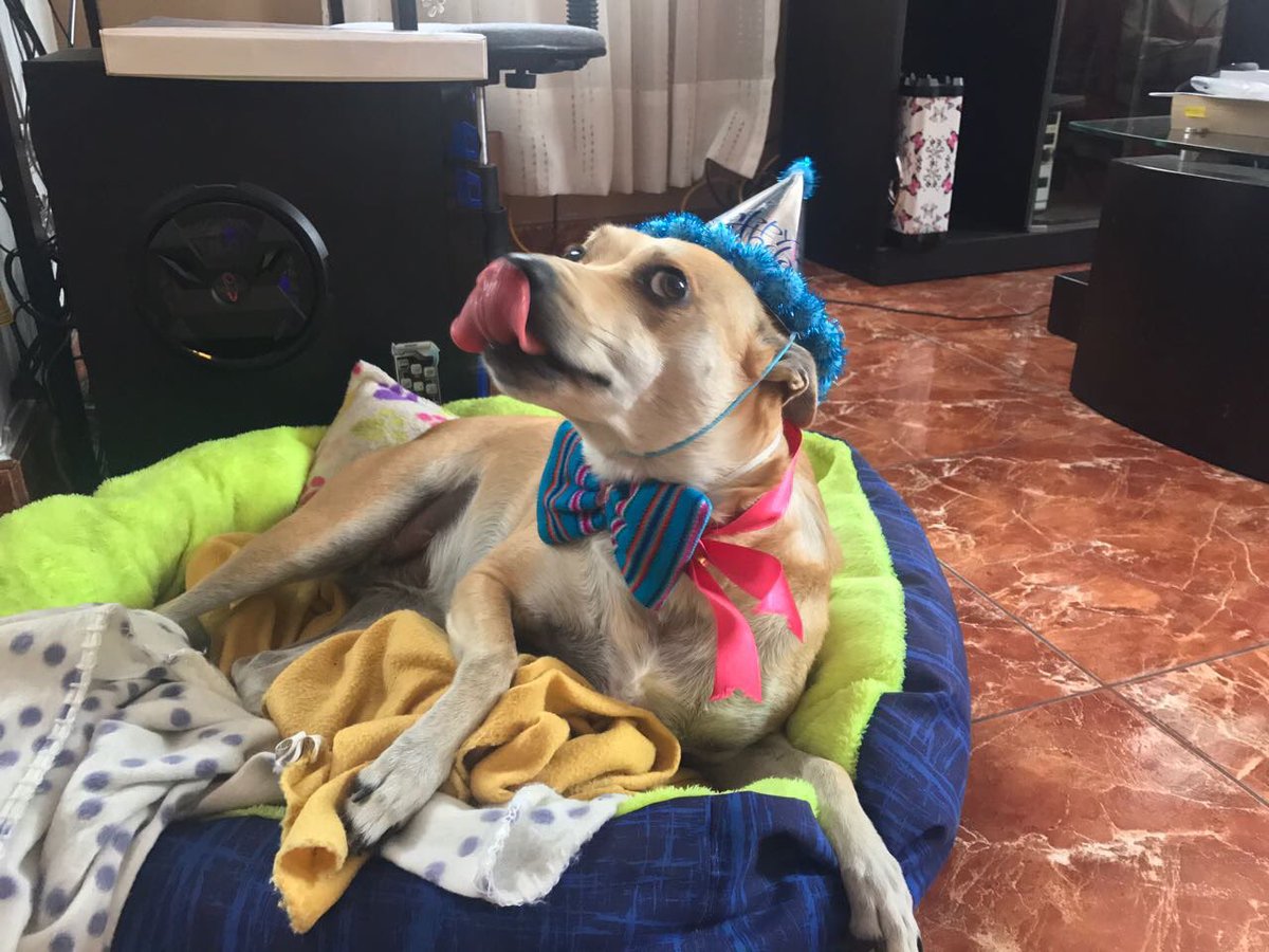 Nena_Crew's tweet photo. Ya se acerca mi cumple. Ojalá mi mami me organice algo así como la fiesta de #Stormi  🤭 #MamiHazteUna https://t.co/fyB5WPCnjF