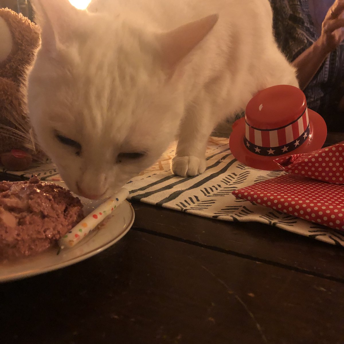SweetBBPiccolo's tweet photo. It hos bin a grate fiff birfday, I had chuna/solman caike. Delassshhhus https://t.co/sOiHhyWtSp