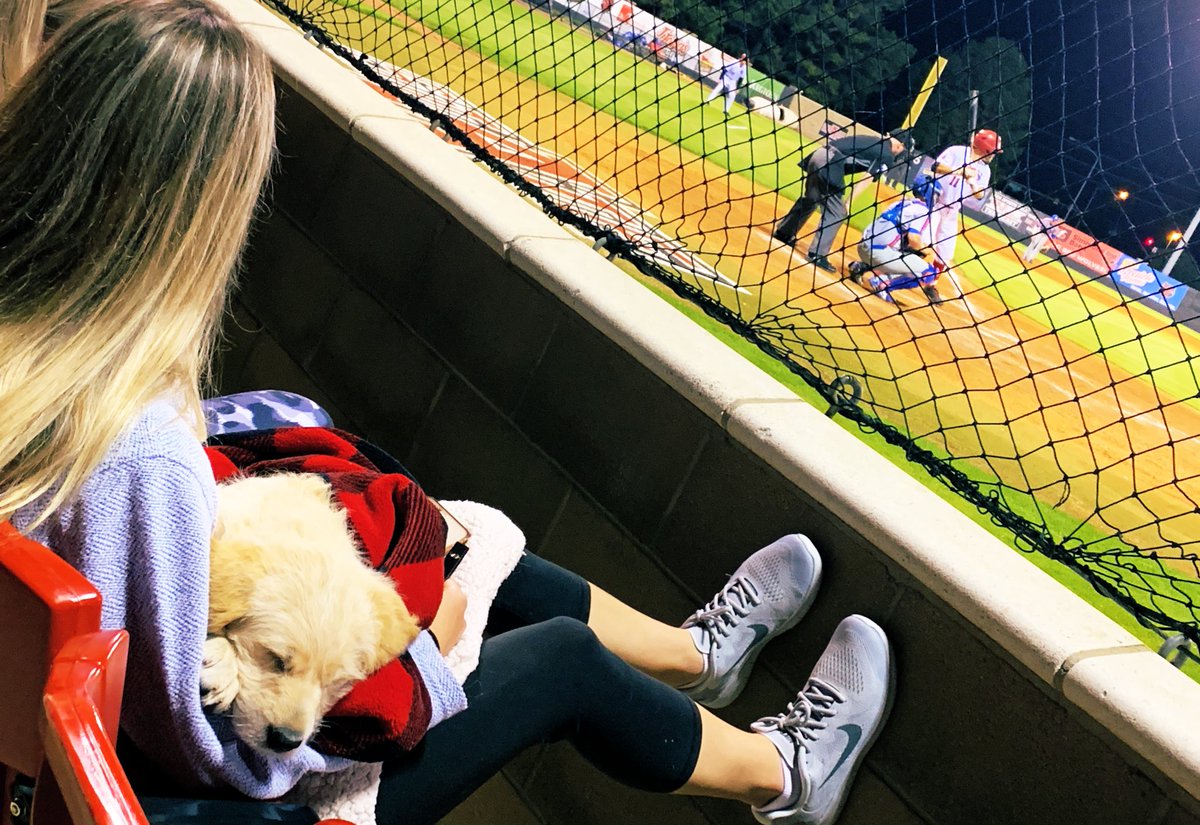 kdamp's tweet photo. Welp, we loaded the bases but just couldn’t get the tying run across. I’ve really enjoyed seeing all the student and alumni support for @AStateBaseball this year (even puppies)! Also great to see our students working for ESPN! Double header on Sunday. #BeatUTA (twice!). 
❤️🐺🆙 https://t.co/5J1QAvVz53