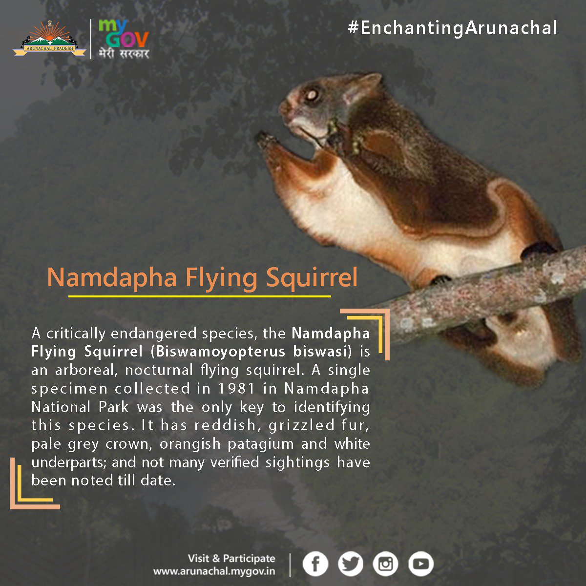 Namdapha Flying Squirrel | Namdapha National Park | UPSC